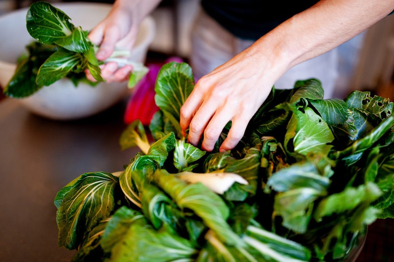 Handling ingredients during a Proeftijd workshop (2023)